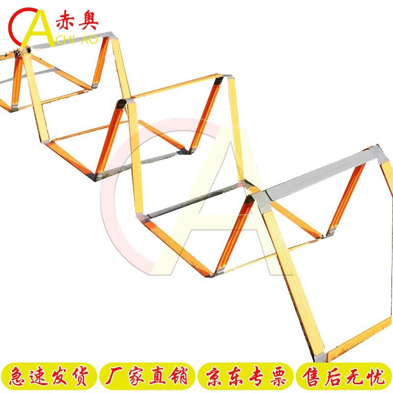 Agility Training Ladder