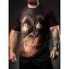 Camisetas e regatas – Camisetas
