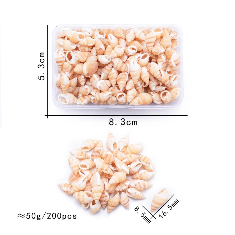 1 Box Sea Shells Spiral Shell Tiny Ocean Spiral Seashells Crafts Aquarium Decoration Landscaping Accessories Photography Props