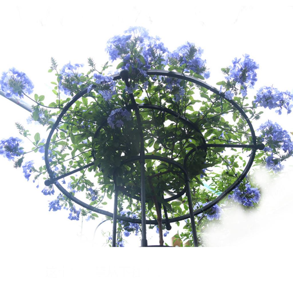 Zahradní mříž pro popínavé rostliny Mříž s houbovým vrcholem pro pokojové rostliny Popínavé rostliny Růže Plamének Zelenina