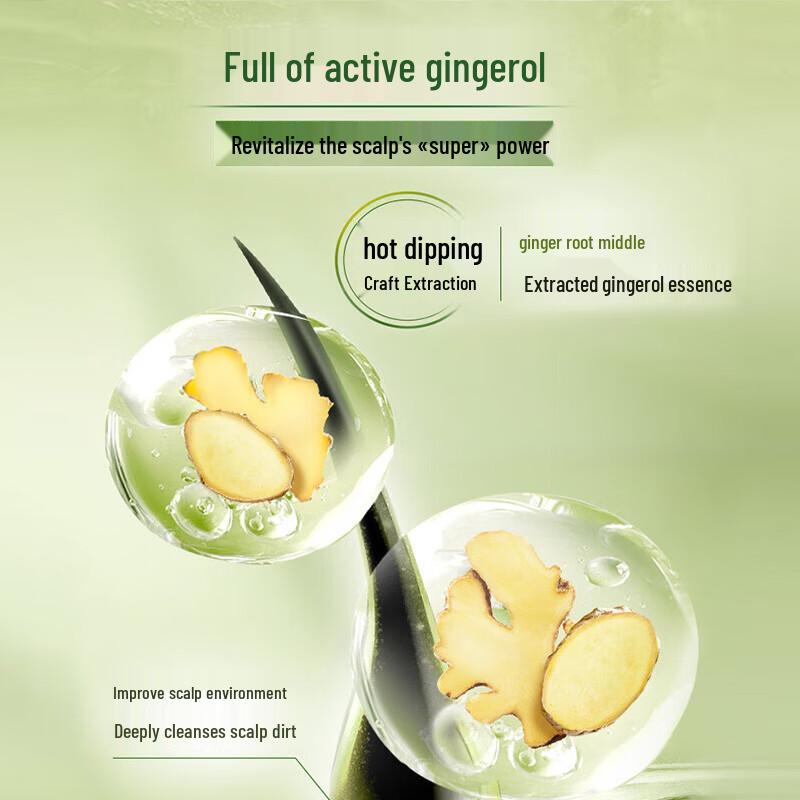 Schwarzkopf Ginger Essence Oil Control Shampoo 400ml