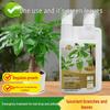 General Plant Nutrient Solution for Growing Flowers, Green Plants, Pothos & Money Tree Hydroponic Liquid Fertilizer
