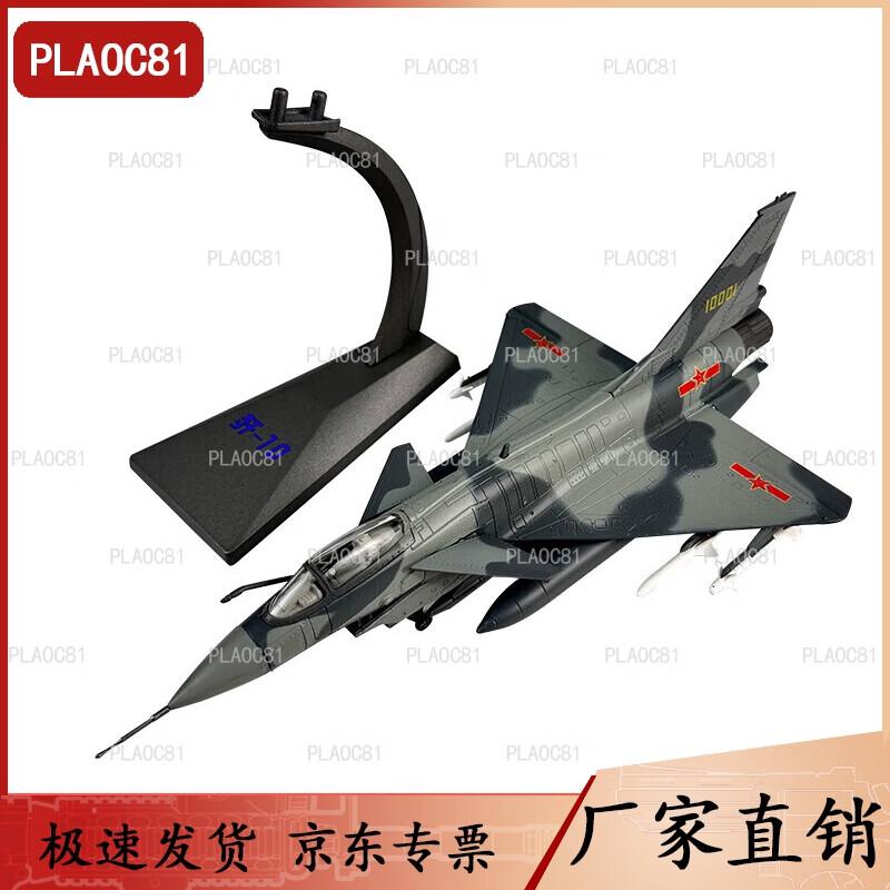 J-10 Fighter Jet Model