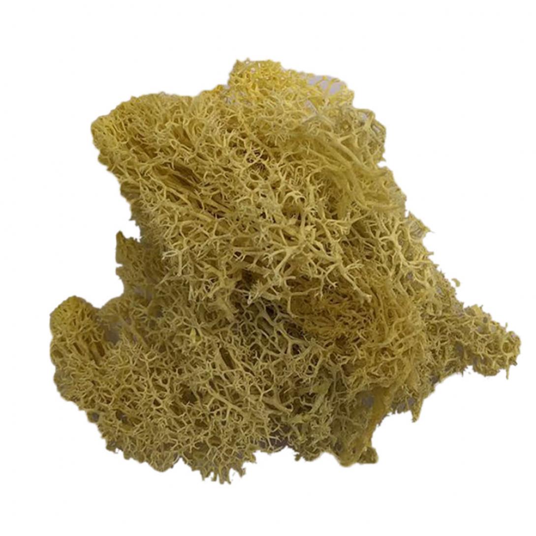 

Искусственное растение стабилизированный цветок олений мох DIY поделка сад домашний декор CDN