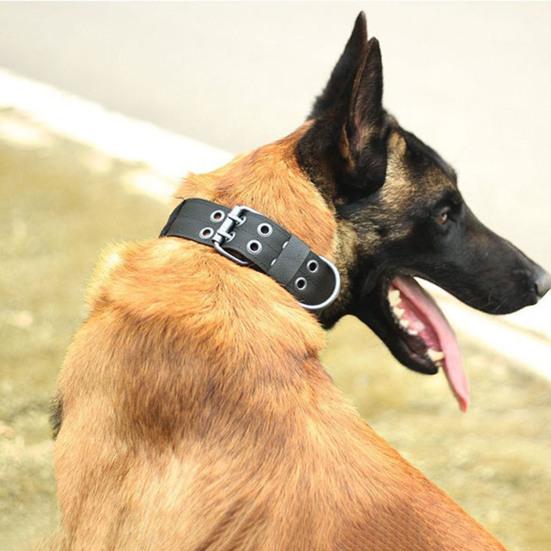 Adjustable Dog Collar with D-Ring Tear-resistant Pet Training Collar Pet Neck Protection Collar Pet Supplies