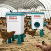 Set Alimentator și Adăpătoare Automate pentru Pui Balansoar pentru Adăpare Păsări de Curte cu Porturi de Hrănire pentru Pui și Rațe