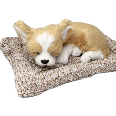 TATOTTE Stuffed Dog, Realistic Figurine, Cute Sleeping Dog, Activated Charcoal Included, Soothing Interior (Chihuahua CR)