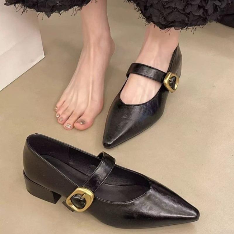 

2025 New Pointed Mary Jane Single Shoes Women s Spring New Fashion Retro Shallow Mouth Thick Heel Small Shoes 35 чёрный