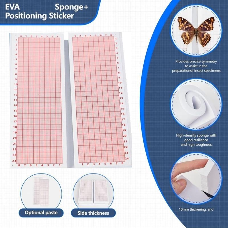 

Professional Entomology Tool Set Including EVA Pinning Board Positioning Paper And Rustproof Insect Pins China Mainland