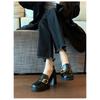 French Light Mouth Single Shoes Women's Spring and Autumn Retro British Style Square Head Thick Heel One Pedal High Heel Small Leather Shoes