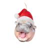 Moo Deng Hippopotamus Hanging Pendant Pygmy Hippo Car Haning Pendants  Party