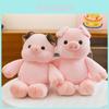 Soft Plush Pig Doll For Kid Cute Cartoon Stuffed Animal Gift For Girls