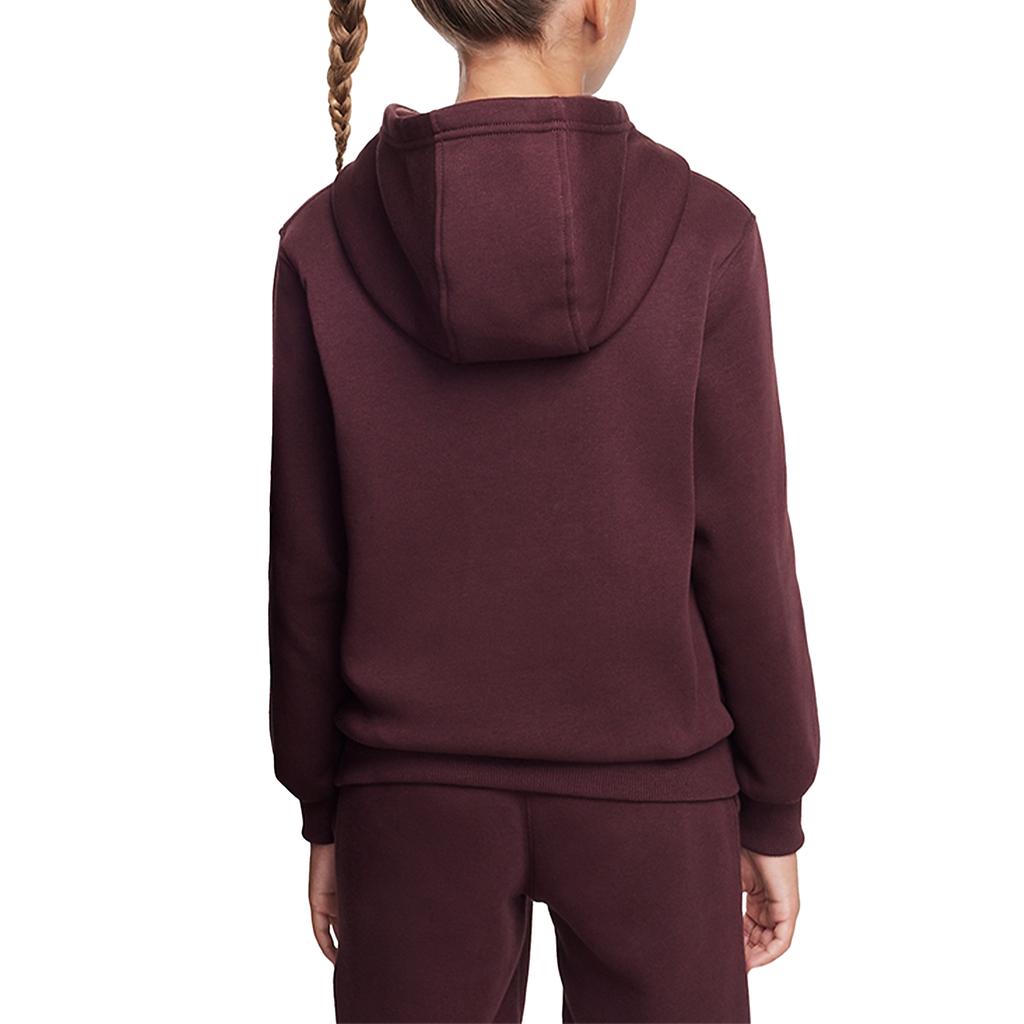 Nike Grade School Sweatshirts Hooded Moderate HJ3156-652