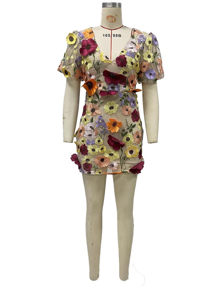 V-Neck Lantern Sleeve Dress with 3D Floral Embroidery