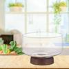 Glass Salad Bowl Multifunction Candy Snack Tray Fruit Basket Serving Bowl for Veggies Home Table Centerpiece Party Decoration