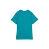 Nike Acg Short Sleeve Tee BQ7343-379