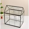 Mikro-Moos Regenwald-Landschaft Glas-Terrarium Miniatur-Garten Moos-Ökosystem Schreibtisch-Gewächshaus Innen-Haus Tischvase