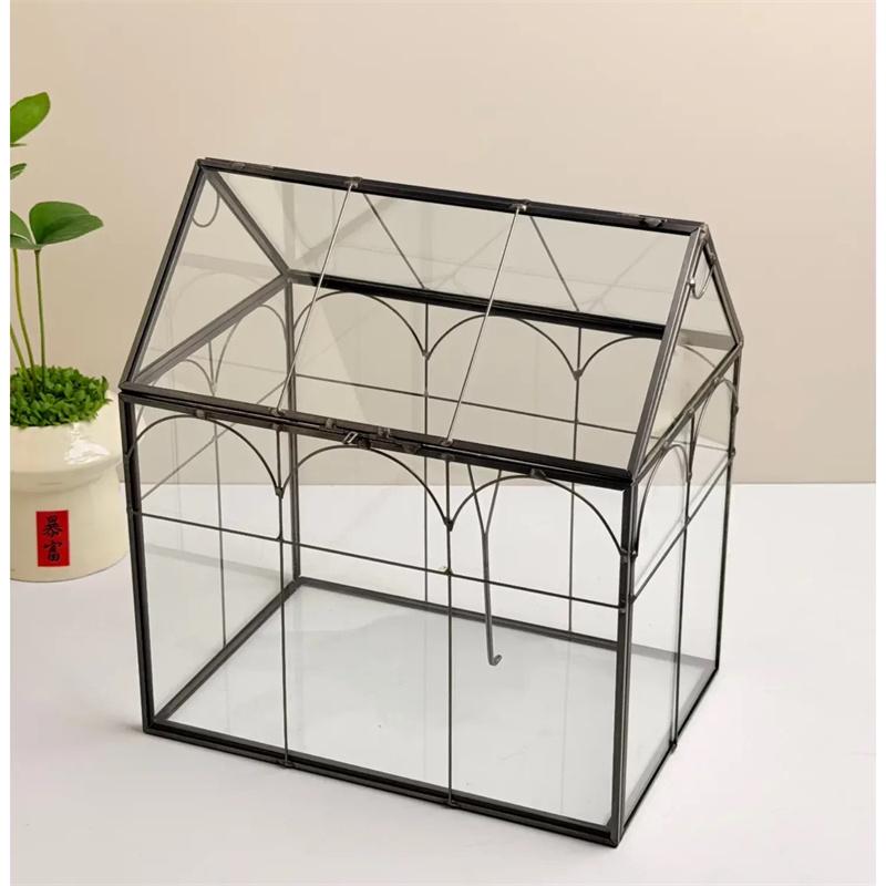 Mikro-Moos Regenwald-Landschaft Glas-Terrarium Miniatur-Garten Moos-Ökosystem Schreibtisch-Gewächshaus Innen-Haus Tischvase