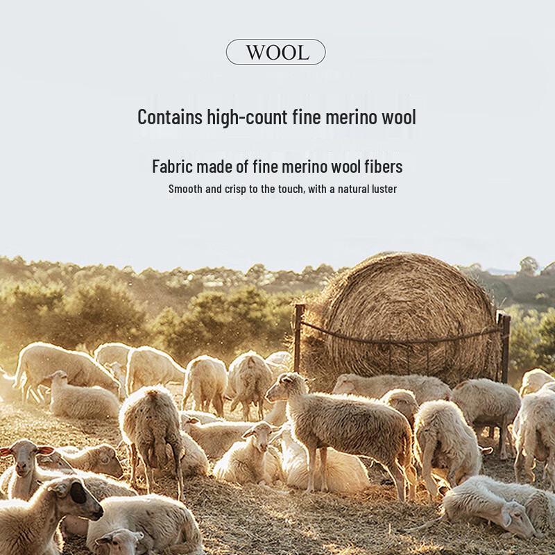 Antonio Men's Wool Blend Business Casual Jacket