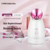 Jindao Cold & Hot Dual Spray Facial Steamer CN Plug (adapter Included)