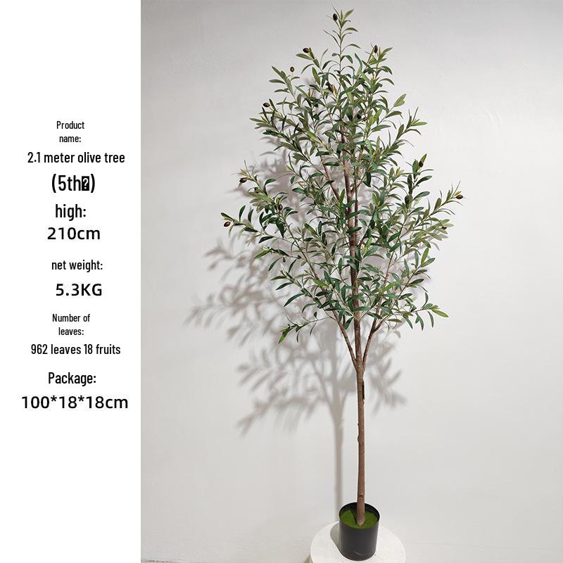 Olive Tree Potted Plant - Indoor Decor Simulation for Living Room