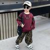 Trendy Boy's Pullover Hoodie Set For Kids Soft Cotton Fabric Stylish Fall Outfit