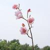 Floral Art Artificial Magnolia Branches 78cm Artificial Orchid Flowers  Wedding Party Decor