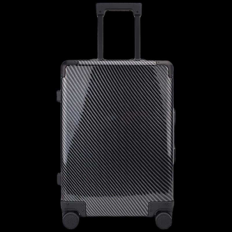 PLOVER 20-inch PC Hardside Spinner Luggage