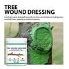 Pruning Wound Sealer Tree Wound Sealant Pruning Sealant for Trees with Brush