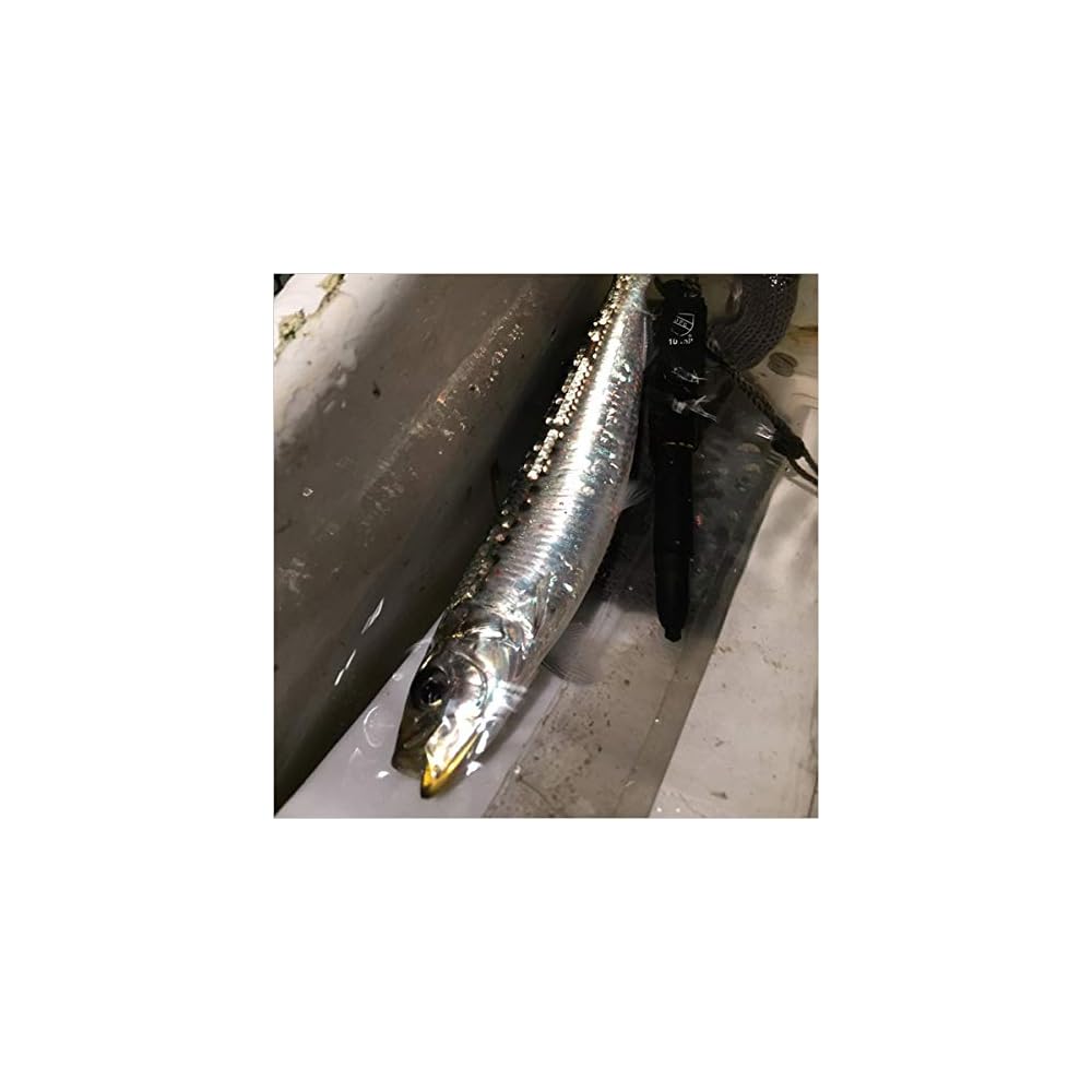 Shimano Ocea Special Edition Flatfish Lure 145F OT-145K 006 Kyourin Katakuchi 145mm Fishing Tackle