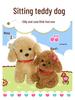 Teddy Dog Plush Toy: Children's Soothing Doll & Activity Gift