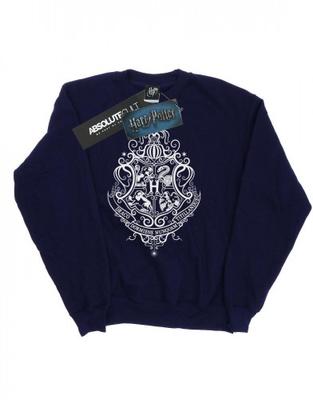 Boys Hogwarts Draco Dormians Crest Sweatshirt