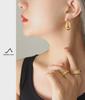 Trendy Gold-Plated U-Shaped Titanium Earrings: European & American Style, No Fading, Fashionable & Personalized.