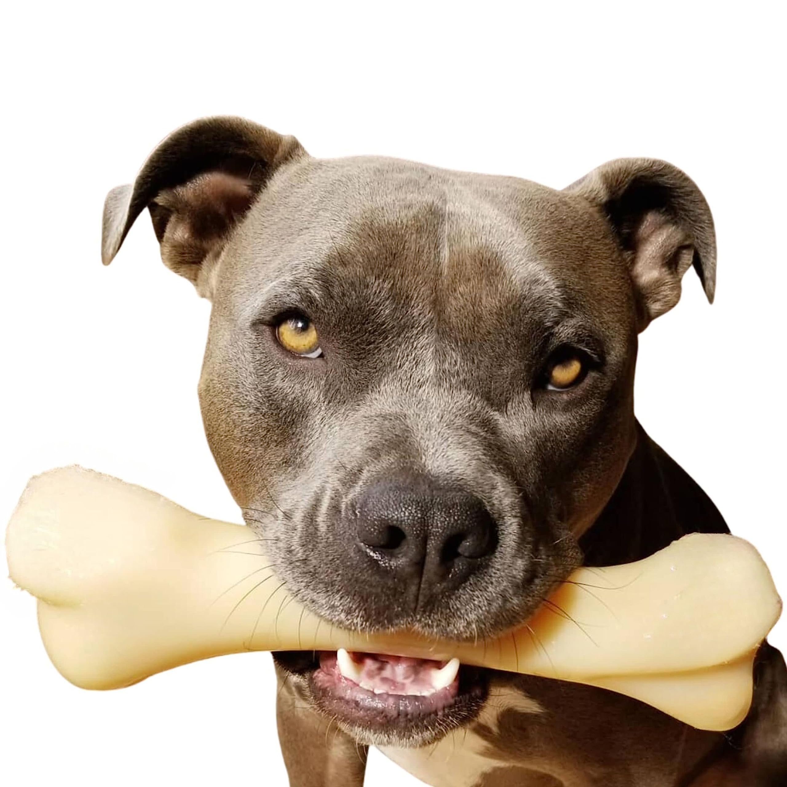 

Nylabone Durachu Chicken Monster [item]