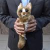 HANSA Tarsier č.3964 20cm BH3964