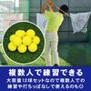 Training Golf Balls, Indoor Specification, Impact Practice, 12 Ball Set,
