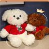Bear Teddy Stuffed Toy Girl Birthday Gift Cartoon Cute Sweater Dog Figure Action