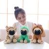 Transforming Plush Shar Pei Dog - Annual Mascot Puppy Doll Customization