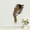 Cute Funny Cats Wall Sticker Hole View Bathroom 3D Toilet Stickers For Home Decoration Animals Decals Self-adhesive Poster