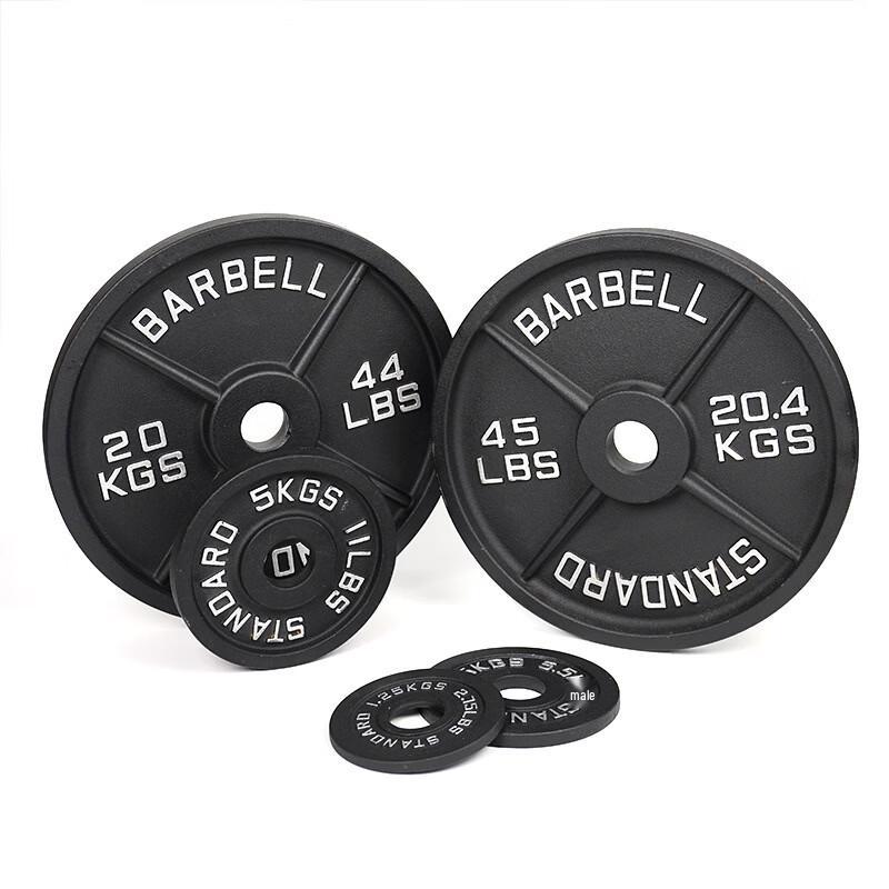 FALCON ARMOR Painted Cast Iron Barbell Plates