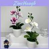Butterfly Orchid 3d Faux Plant With Indoor Decor For Photography And Home Styling