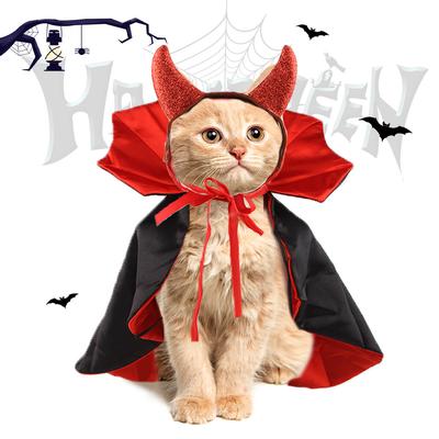 Gatos – Ropa