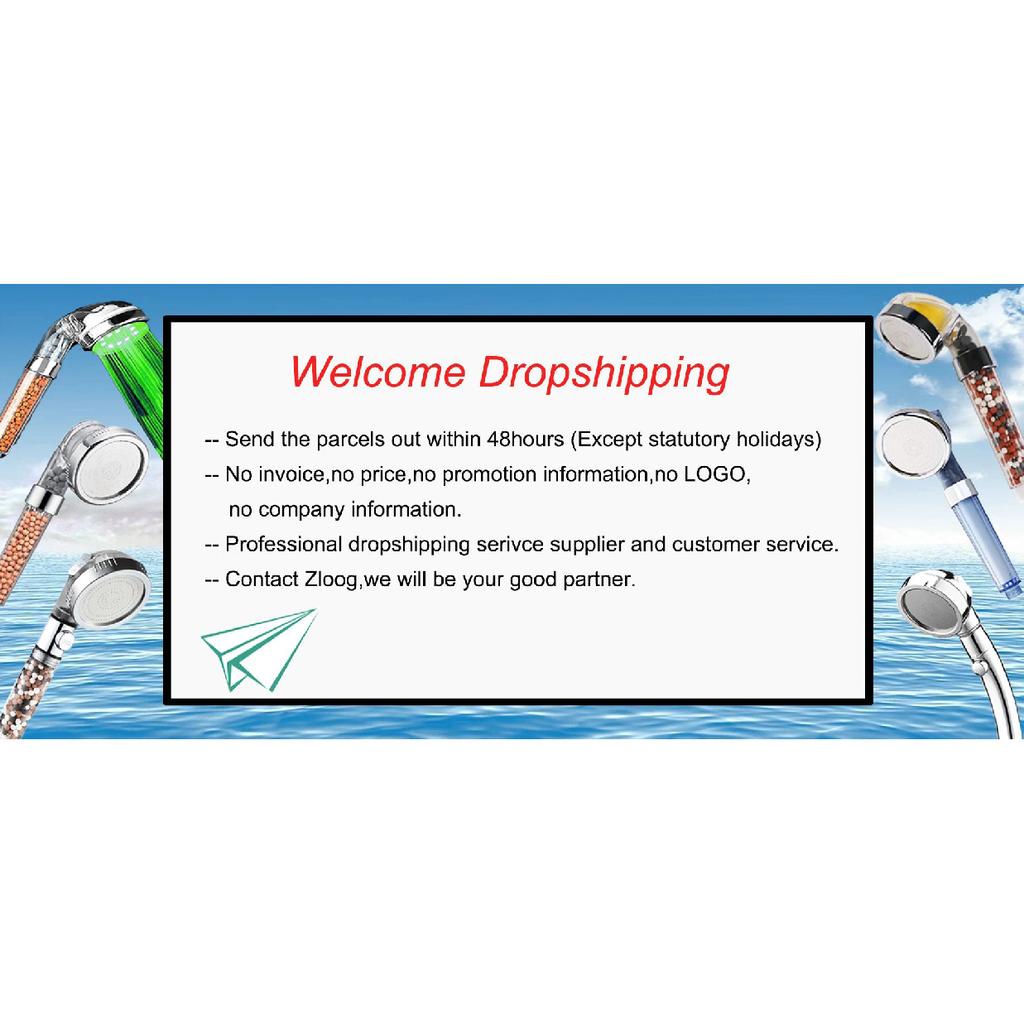 Zloog Bathroom LED Shower Head Color Changing Temperature Sensor Handheld Showerhead Spa High Pressure Anion Filter Shower Head