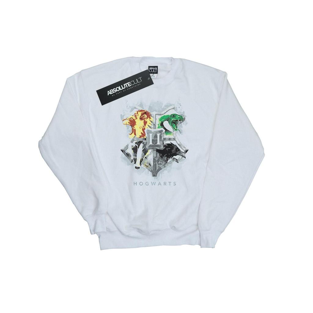 Harry Potter Boys Hogwarts Painted Crest Sweatshirt