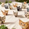 50 Sheets Creative Origami Paper  Animal Folding Set Cats&Dogs Fun Handmade Art Craft Folding Paper 3D Desk Decor Toy Gift