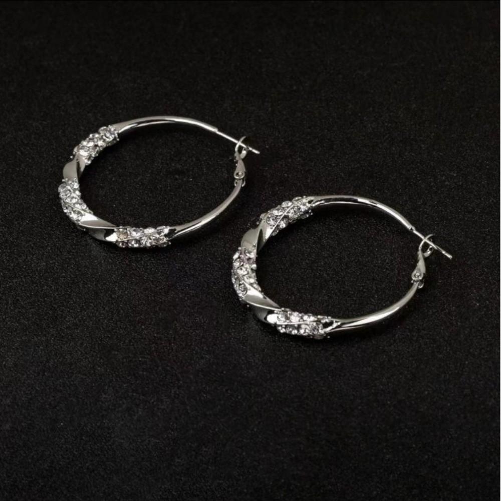 Exaggerated Hoop Earrings Light Luxury Women Ear Jewelry Temperament Large Round Earrings  Party