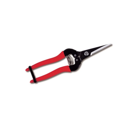 Ars Corporation Fruit Thinning Scissors Large (Boxed) 300L