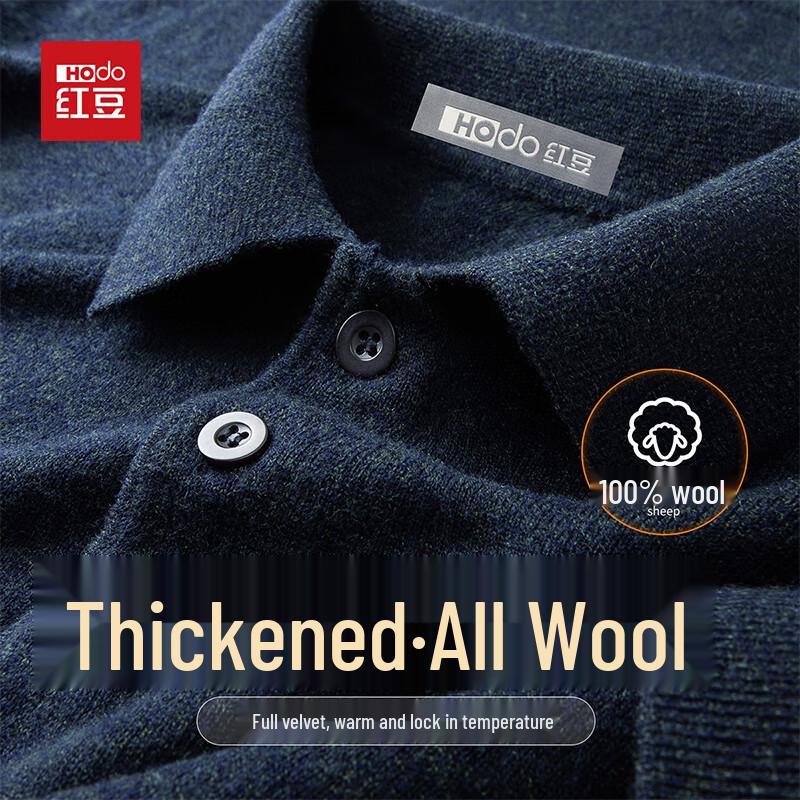 

Hodo Men s Luxury 100% Wool Polo Sweater 2XL 185/100A