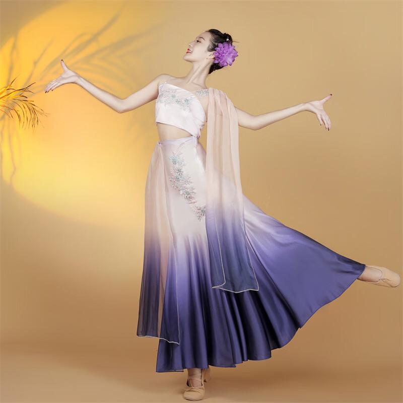 

Women s Dai Dance Performance Fishtail Dress M