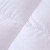 Baiweisi All-Season Velvet Feel Duvet Insert